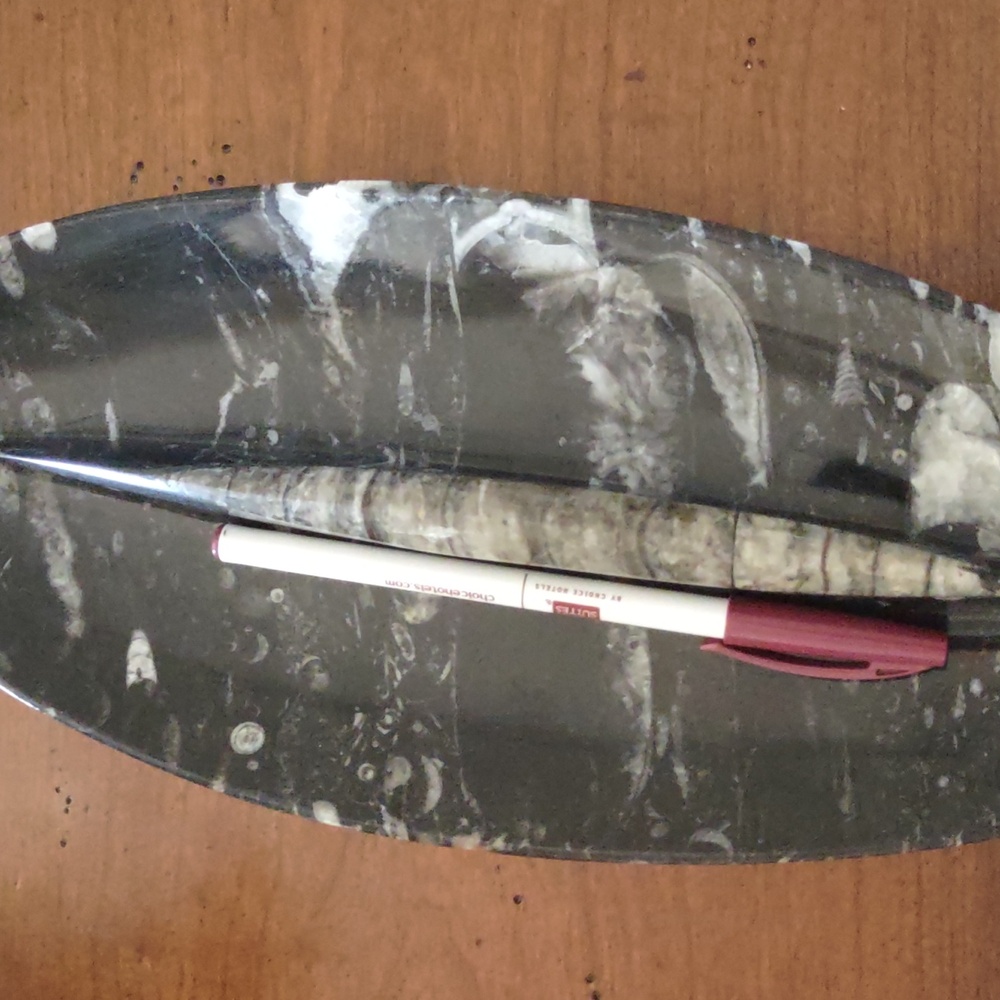 Fossil - Picture 5 of 5